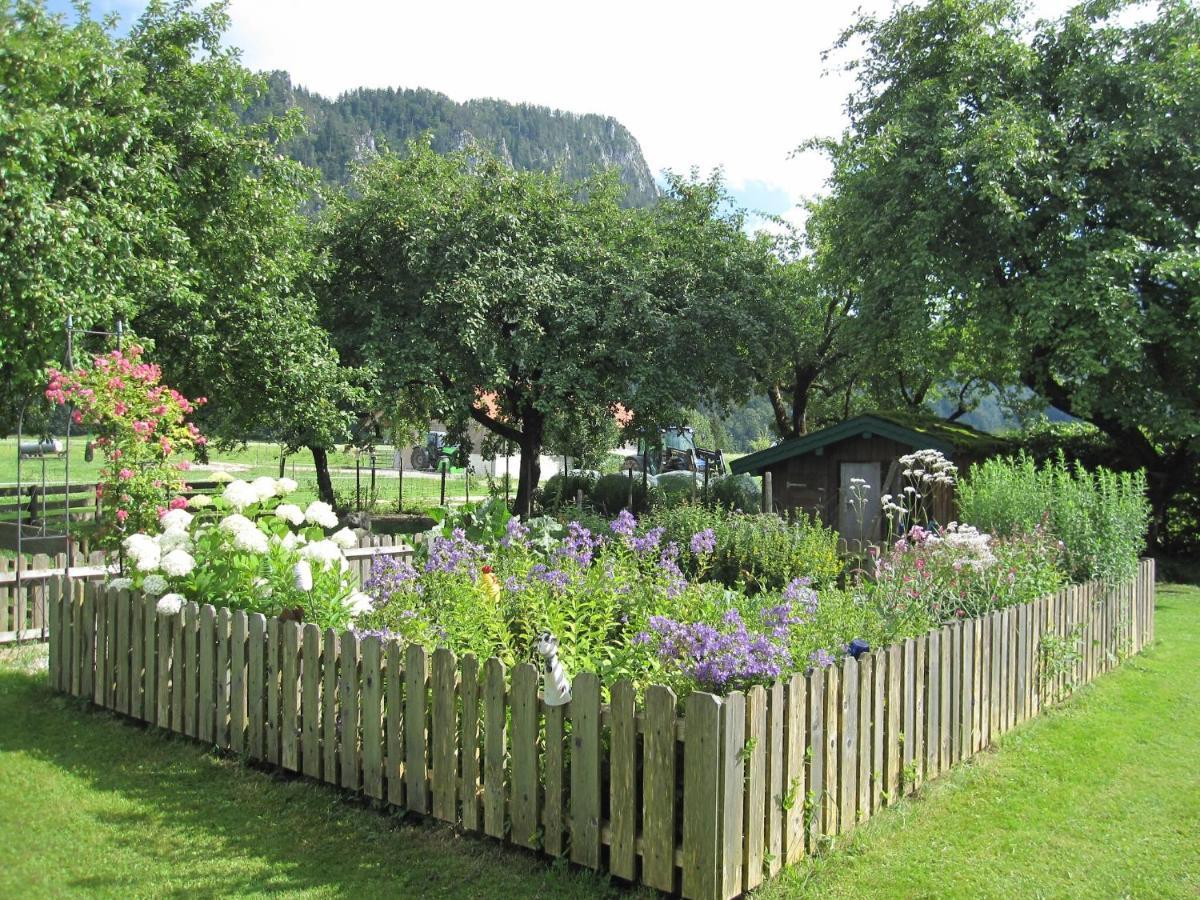 Hausernhof - Chiemgau Karte インツェル エクステリア 写真